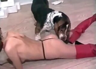 Skinny bitch in red boots bends down in front of a dog to get nailed