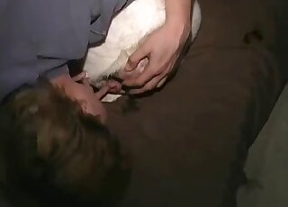 Goat pussy getting licked and fingered by a brazen zoophile stud