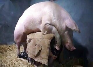 Masked blonde wants to protect herself while fucking a pig in farm XXX