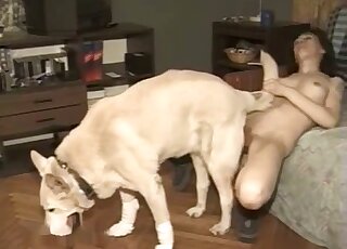 Skinny diva is happy to get her pussy fucked by a white animal