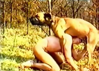 Outdoor video showing a fully naked zoophile guy and his dirty dog