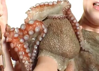 Squid games with a Japanese slavegirl that enjoys sexy vibrators