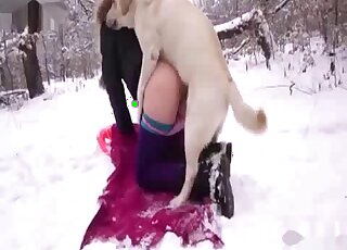 Winter time fuck with a babe that pulls down her pants for a dog