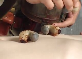 Nasty zoophilia video with snail for a brunette babe